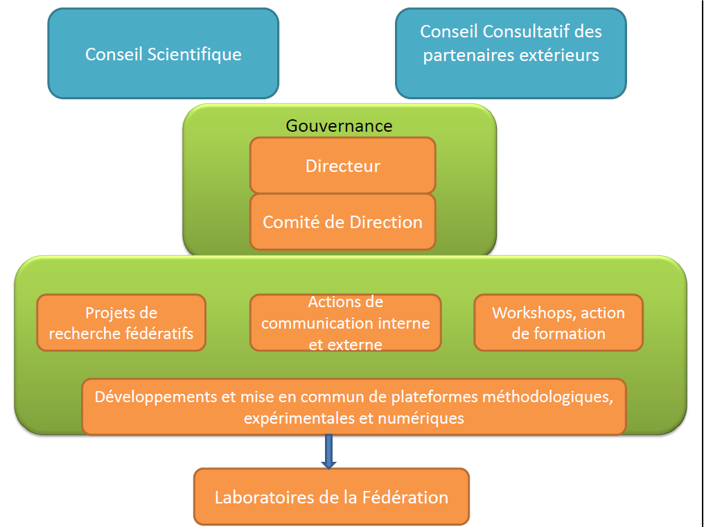 StructureIMOA